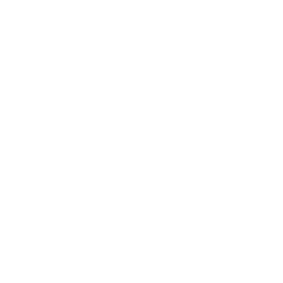 defender