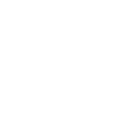 Human Touch