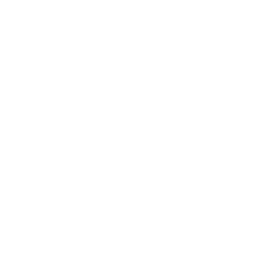 Installment Invoice