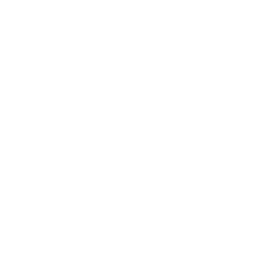 Online support